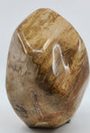 Petrified Wood Specimen for stability, grounding, & ancestral healing