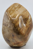Petrified Wood Specimen for stability, grounding, & ancestral healing
