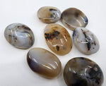 Dendritic Agate Palm Stone for evolving into your truest self