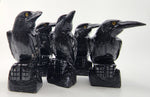Black Onyx Crow Carvings for courage and spirit realm connection