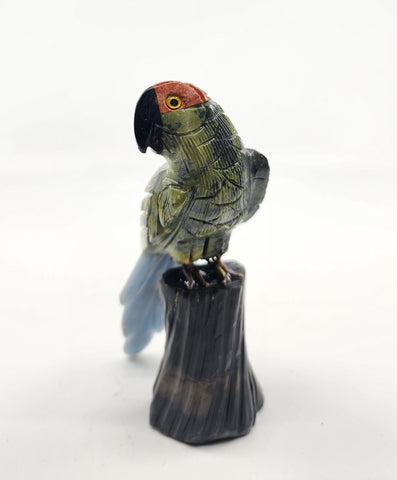 Gemstone Parrot